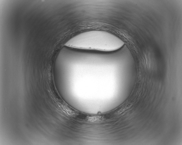 X0000068820461200605050947