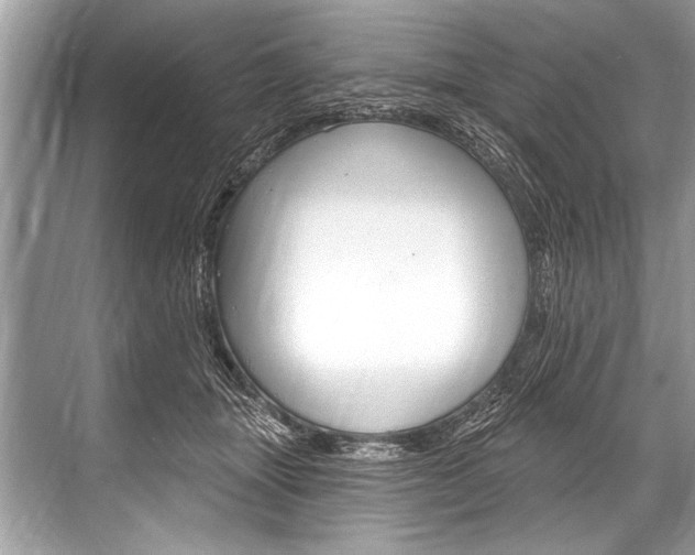 X0000068820463200605050947