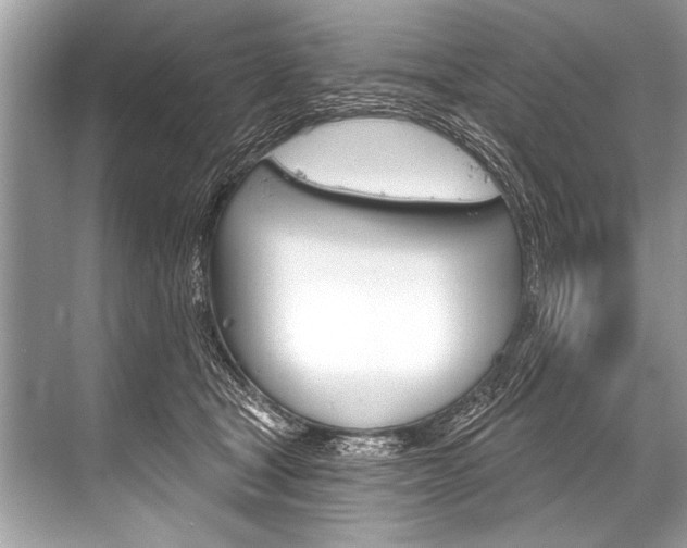 X0000068820465200605050947