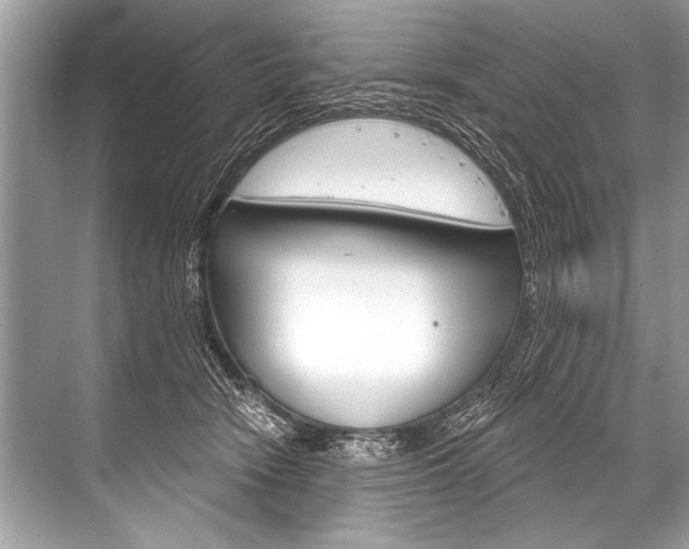 X0000068820466200605050947