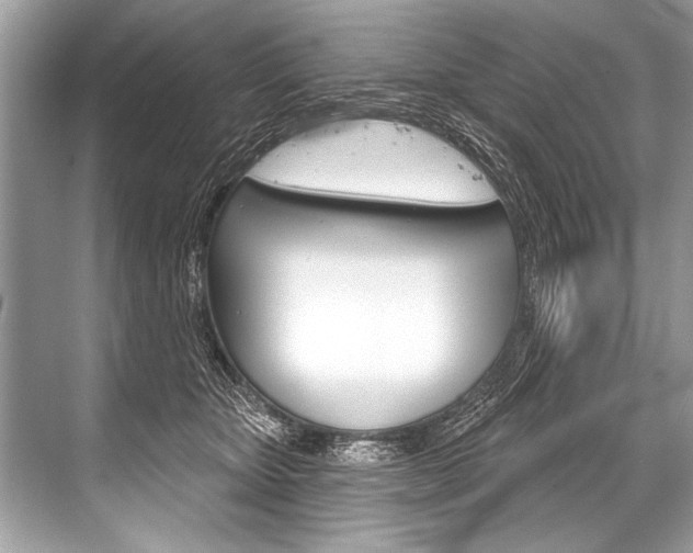 X0000068820467200605050947