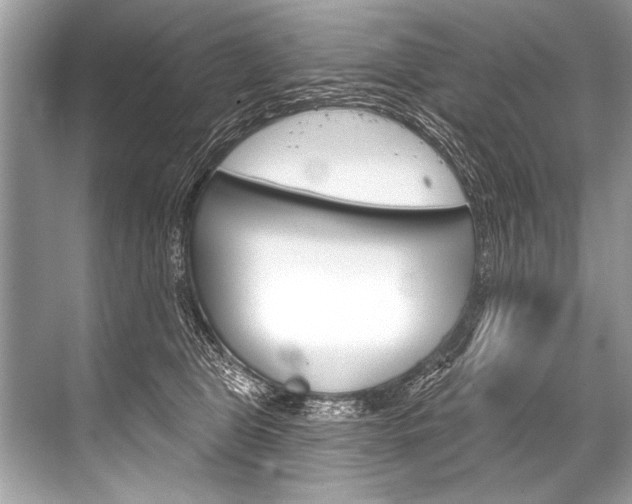 X0000068820469200605050947