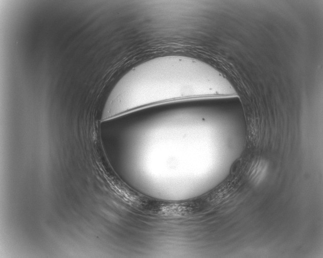 X0000068820470200605050947