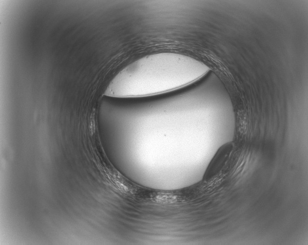 X0000068820471200605050947