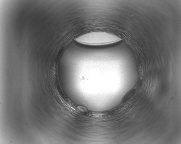 X0000068820472200605050947