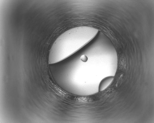 X0000068820473200605050947