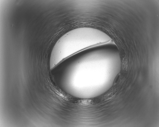 X0000068820474200605050947