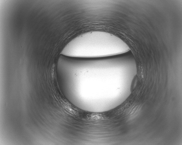 X0000068820475200605050947