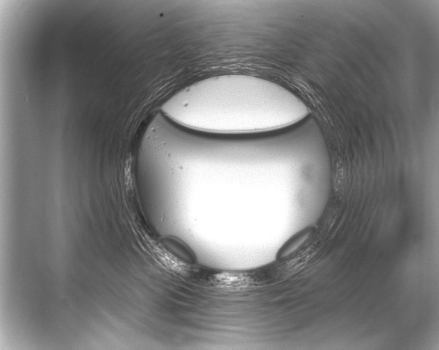 X0000068820477200605050947