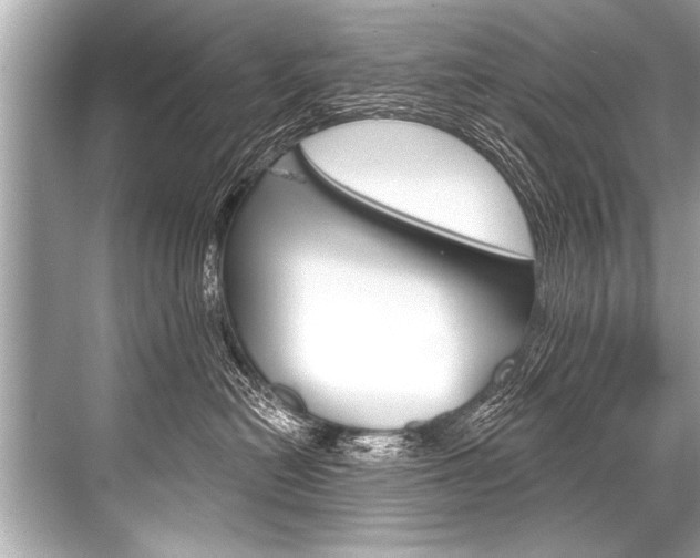 X0000068820478200605050947