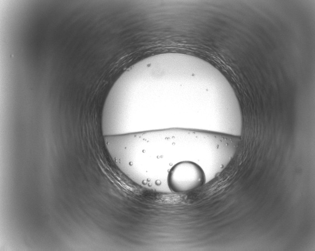 X0000068820479200605050947