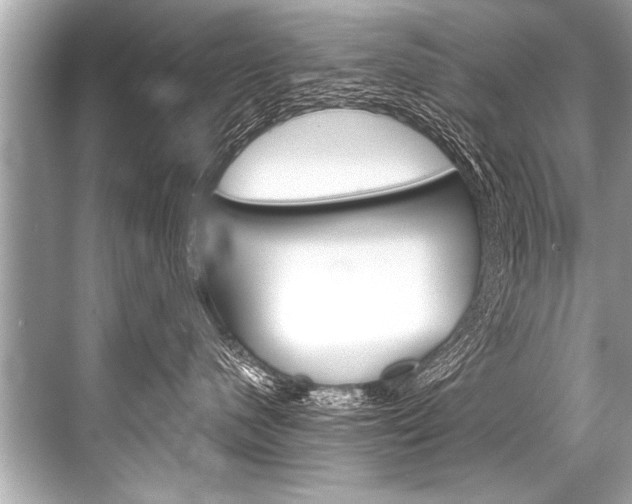 X0000068820480200605050947