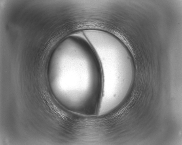 X0000068820481200605050946