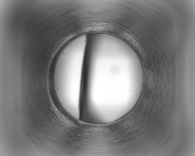 X0000068820482200605050946