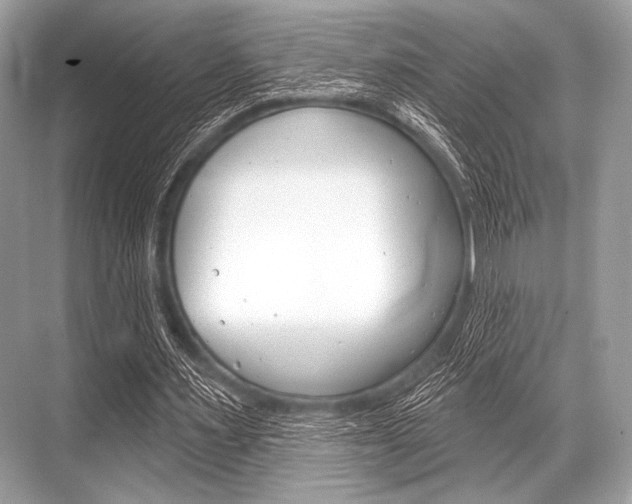 X0000068820483200605050946