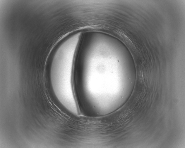 X0000068820484200605050946