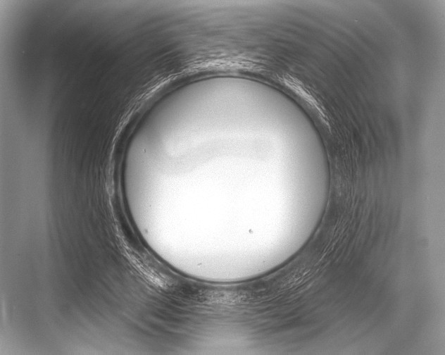 X0000068820486200605050946