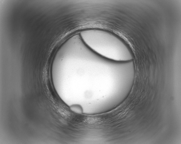 X0000068820487200605050946