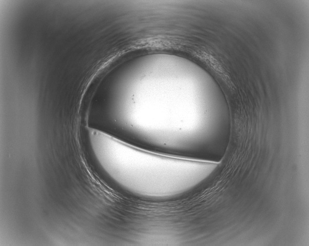 X0000068820488200605050946