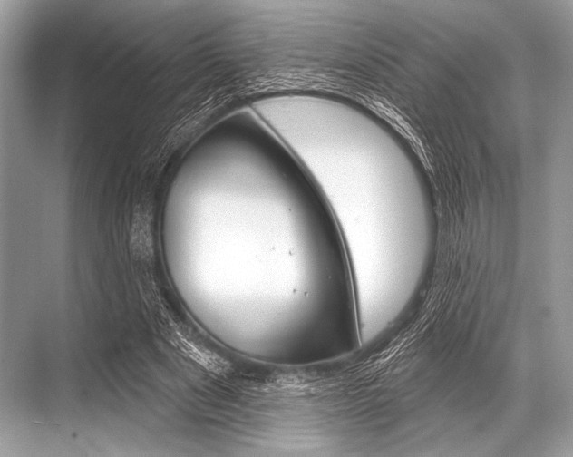 X0000068820489200605050946