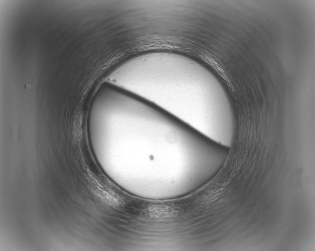 X0000068820490200605050946