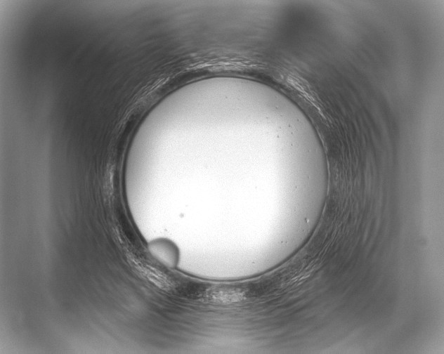 X0000068820491200605050946