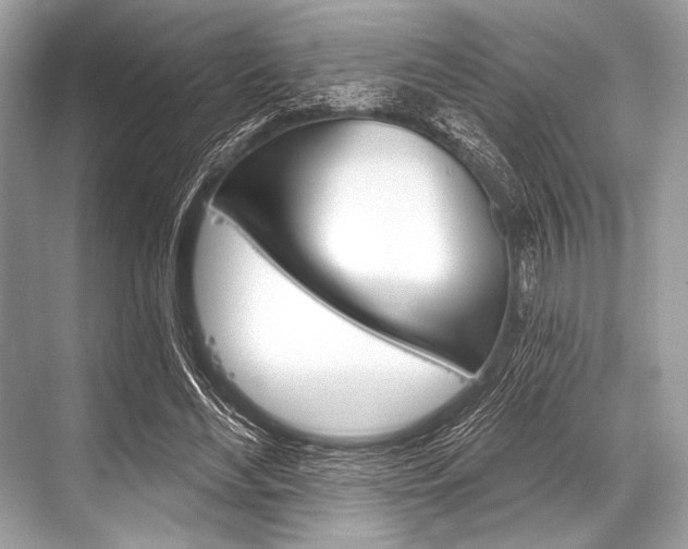 X0000068820492200605050946