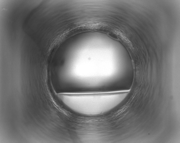 X0000068820493200605050946