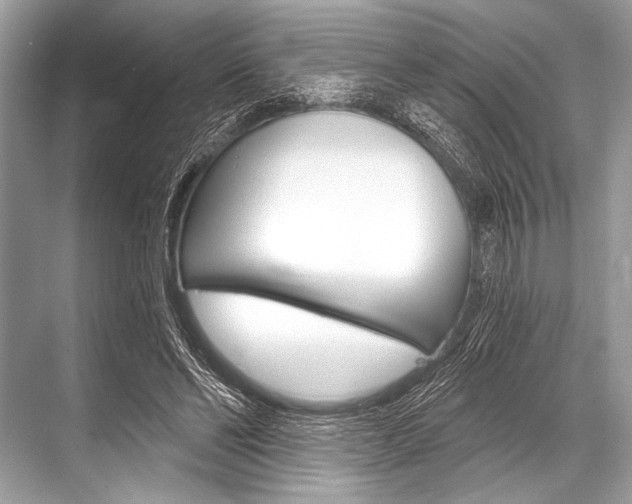 X0000068820494200605050946