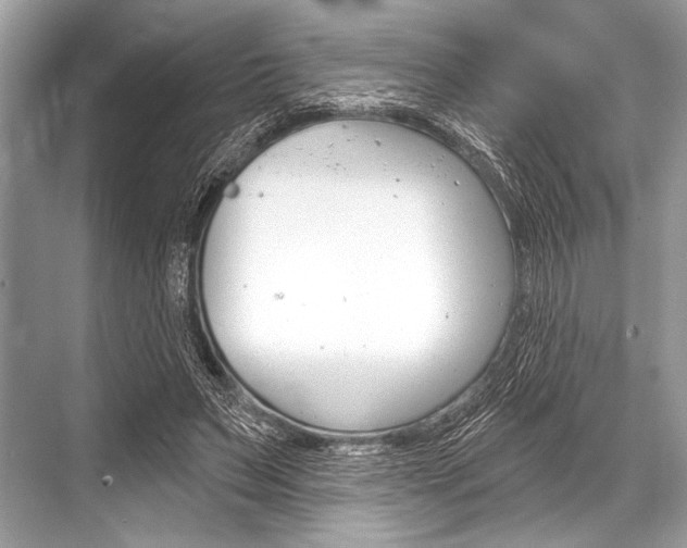 X0000068820495200605050946