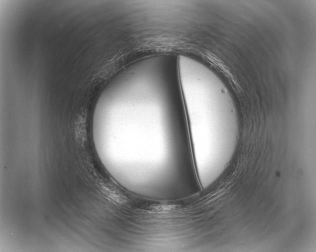 X0000068820497200605050946