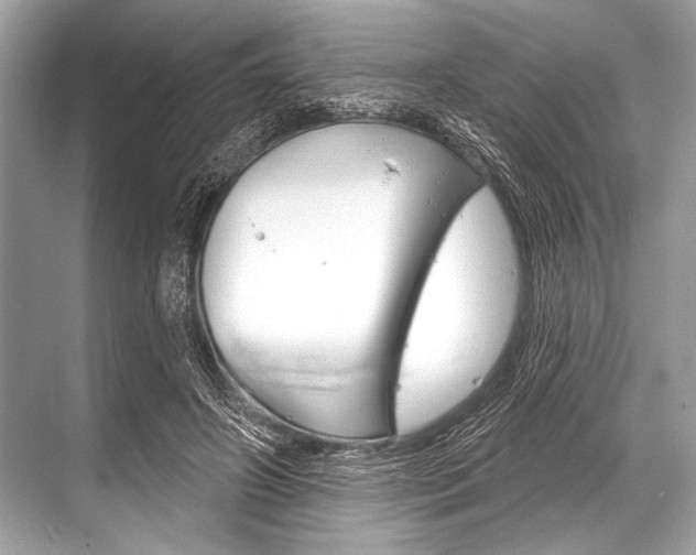 X0000068820498200605050946