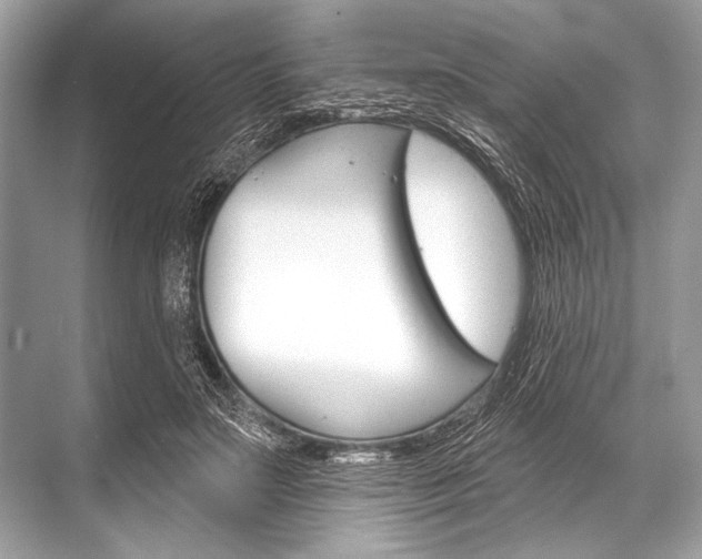 X0000068820499200605050946