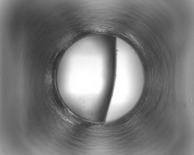 X0000068820500200605050946