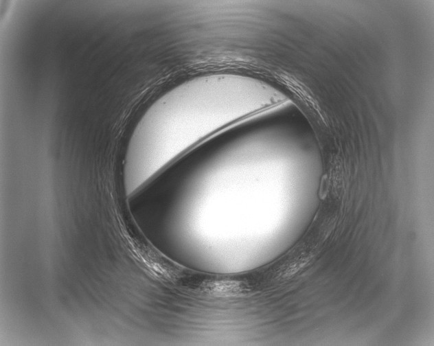 X0000068820501200605050946