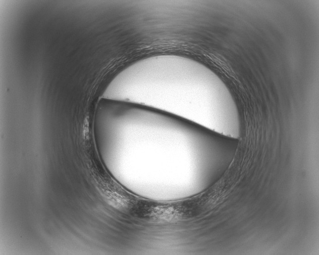 X0000068820502200605050946