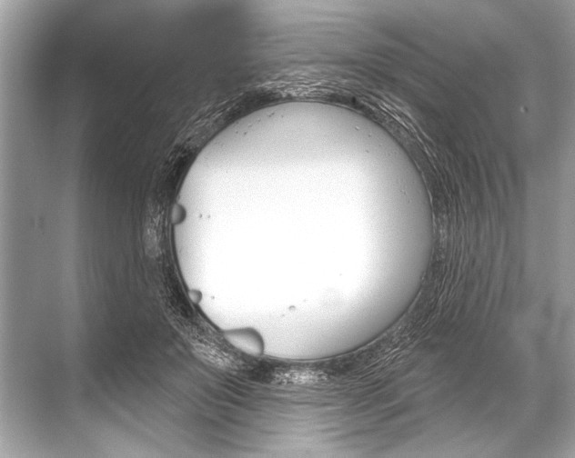 X0000068820503200605050946