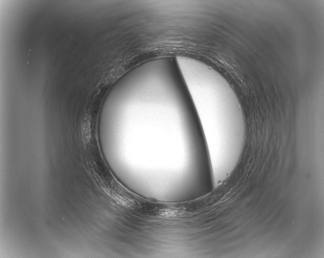 X0000068820504200605050946