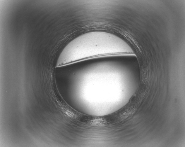 X0000068820505200605050946