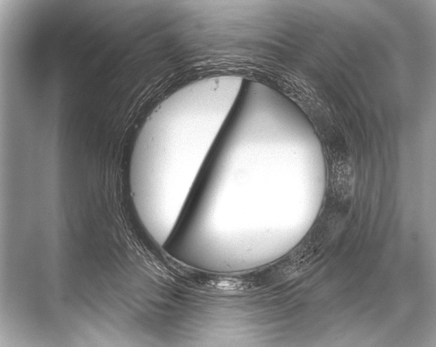 X0000068820506200605050946