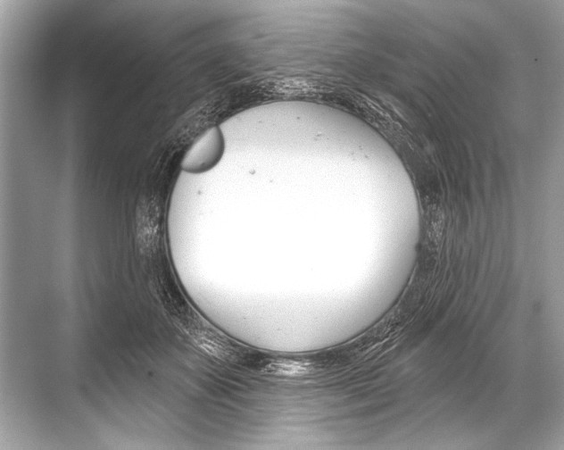 X0000068820507200605050946