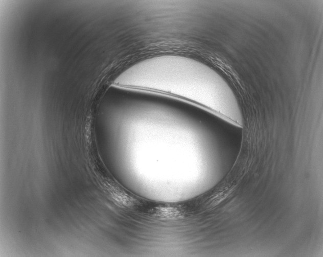 X0000068820509200605050946