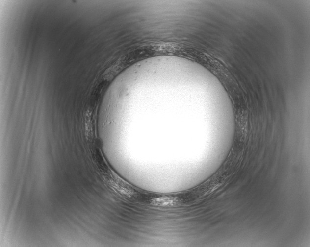 X0000068820511200605050946