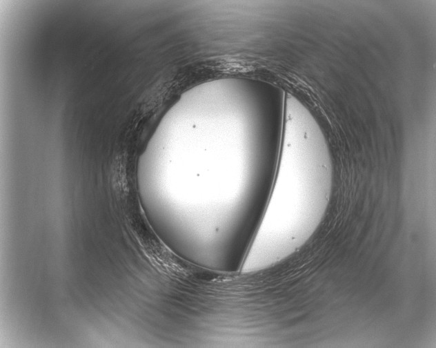 X0000068820512200605050946