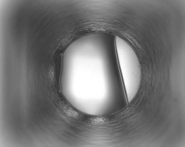 X0000068820513200605050946