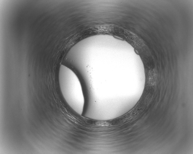 X0000068820514200605050946