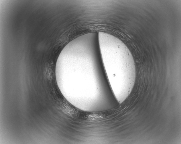 X0000068820515200605050946