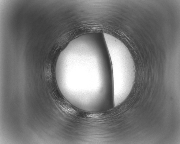 X0000068820516200605050946