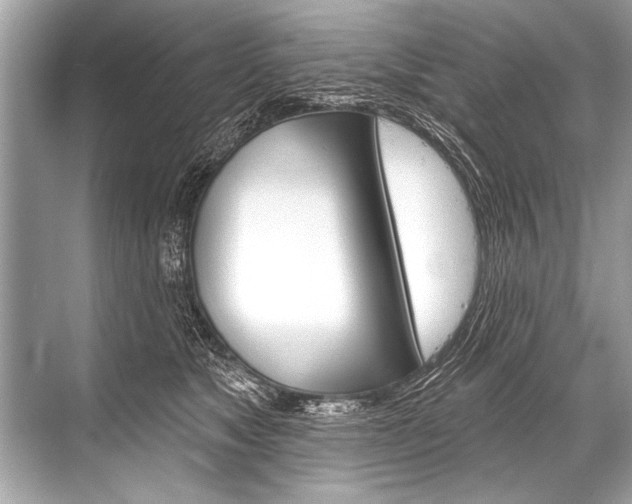 X0000068820517200605050946