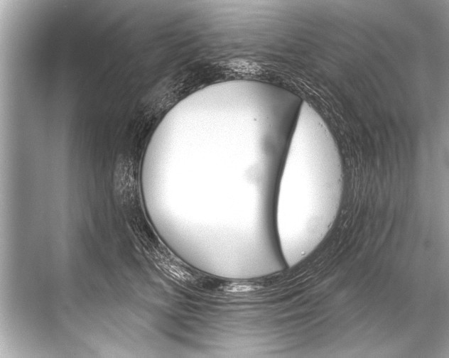 X0000068820518200605050945